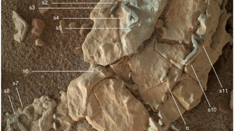 Vita fossile su Marte!